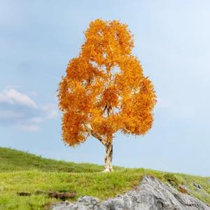Noch Birke herbstlich.jpg